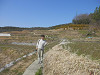 p3290074_thumb.jpg
