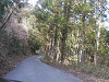 p3290077_thumb.jpg