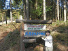 p3290085_thumb.jpg