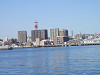 p4060145_thumb.jpg