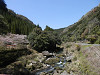 p4060154_thumb.jpg