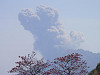 p4060195_thumb.jpg