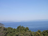 p4060214_thumb.jpg