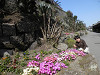 p4060228_thumb.jpg