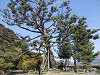 p4060236_thumb.jpg