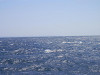 p4070328_thumb.jpg