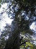 p4070369_thumb.jpg