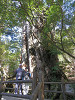 p4070372_thumb.jpg