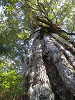 p4070373_thumb.jpg