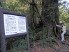 p4090597_thumb.jpg