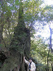p4090598_thumb.jpg
