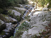 p4090601_thumb.jpg