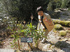 p4090609_thumb.jpg