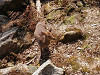 p4090620_thumb.jpg