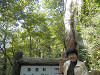 p4090628_thumb.jpg