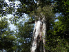 p4090631_thumb.jpg