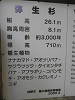p4090633_thumb.jpg
