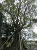 p4100832_thumb.jpg