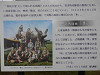 p4100872_thumb.jpg