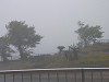 p4110888_thumb.jpg