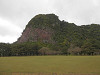 p4110906_thumb.jpg