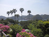 p4121064_thumb.jpg