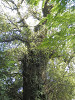 p4121104_thumb.jpg