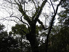 p4131208_thumb.jpg