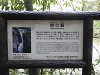 p4141301_thumb.jpg