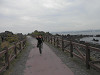 p4151476_thumb.jpg
