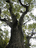 p4151557_thumb.jpg