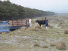 p4151564_thumb.jpg