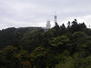 p4161603_thumb.jpg