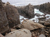 p4161704_thumb.jpg