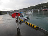 p4171858_thumb.jpg