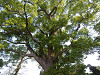p5072019_thumb.jpg