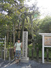 p5072026_thumb.jpg