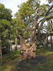 p5072028_thumb.jpg