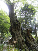 p5072061_thumb.jpg