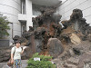 p5072066_thumb.jpg