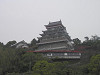 p5072077_thumb.jpg