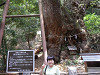 p5072091_thumb.jpg