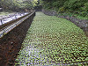 p5082162_thumb.jpg