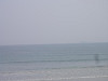p5082209_thumb.jpg