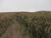 p5092260_thumb.jpg