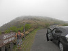 p5092265_thumb.jpg