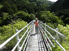 p5232321_thumb.jpg