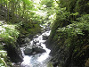 p5232345_thumb.jpg