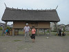 p5232385_thumb.jpg