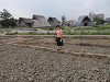 p5232389_thumb.jpg